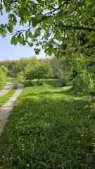 Pest megye - Budakeszi