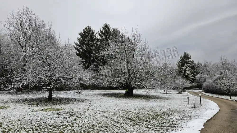 Pest megye - Budakeszi