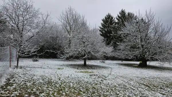 Eladó Építési telek, Budakeszi 1930 m² 69 M Ft