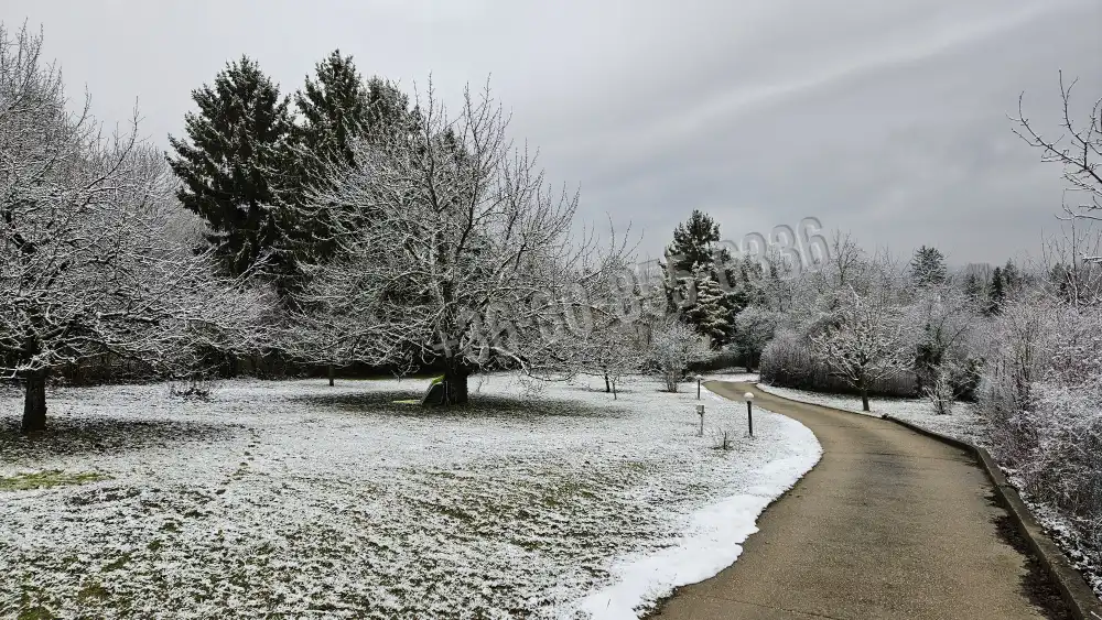 Pest megye - Budakeszi