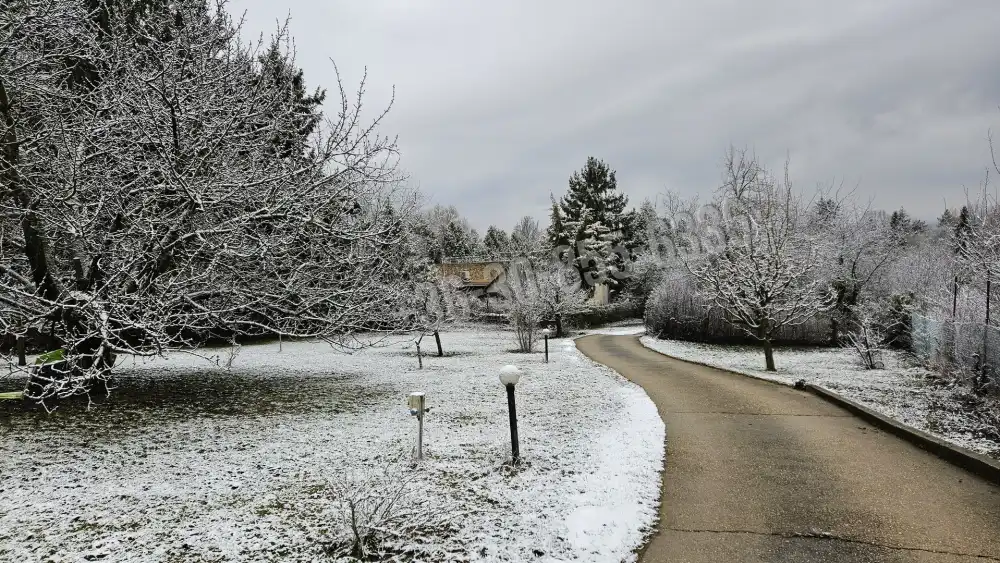 Pest megye - Budakeszi