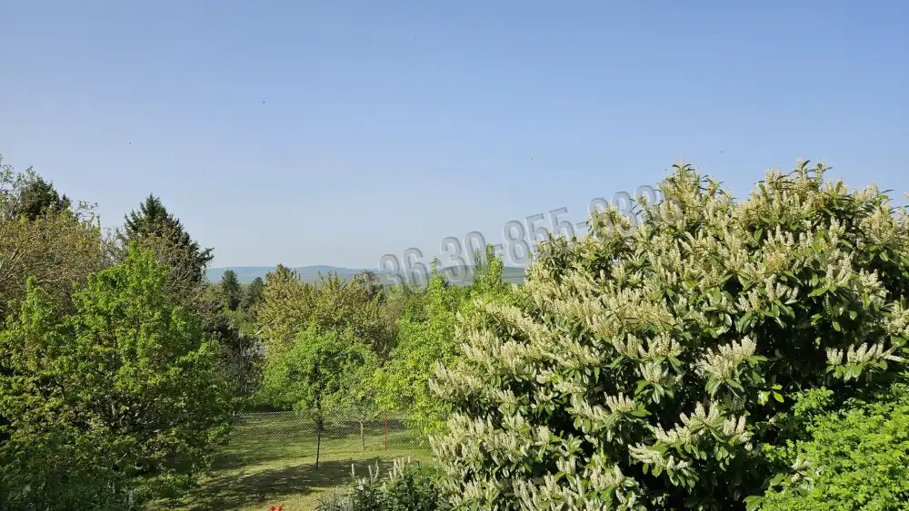 Pest megye - Budakeszi