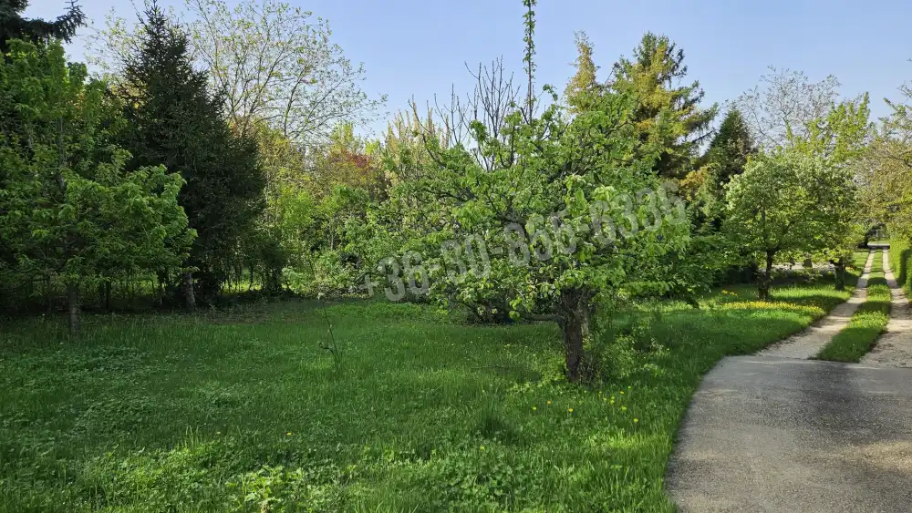 Pest megye - Budakeszi