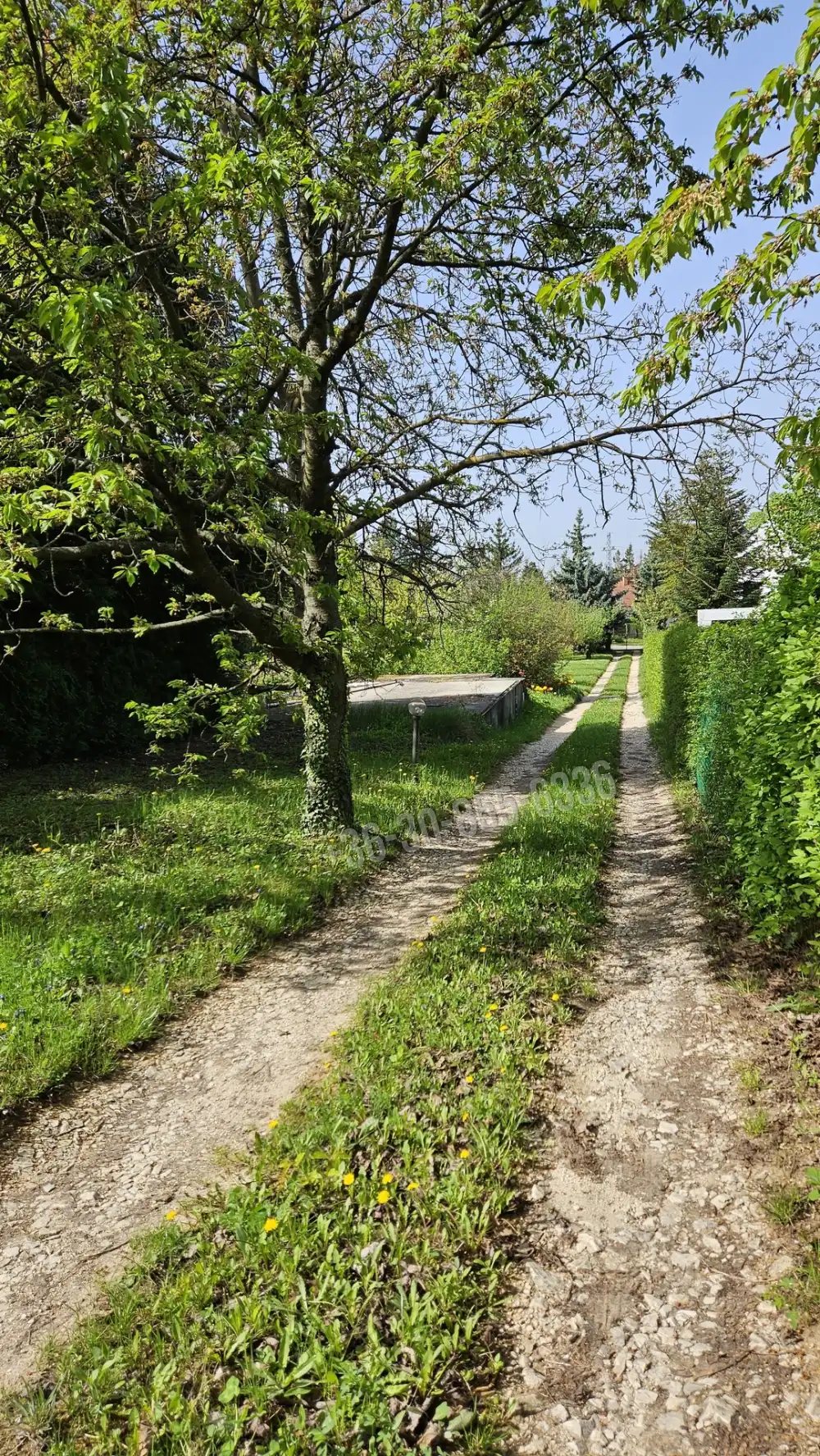 Pest megye - Budakeszi