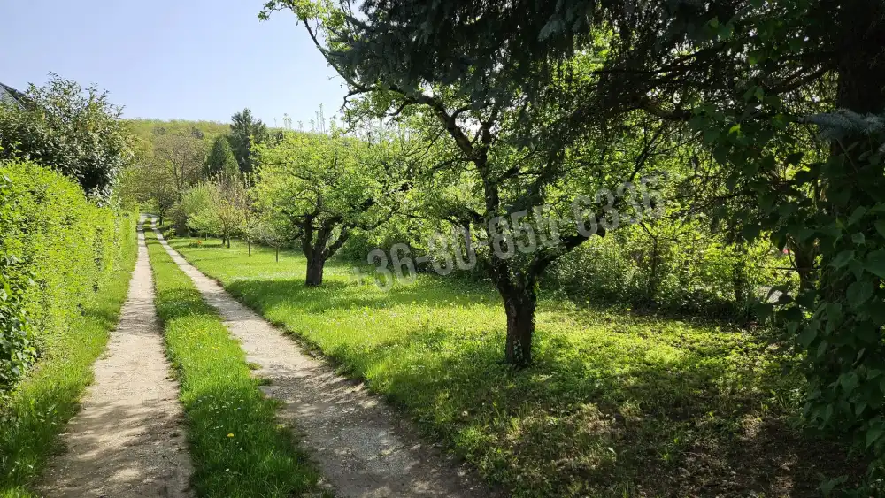 Pest megye - Budakeszi