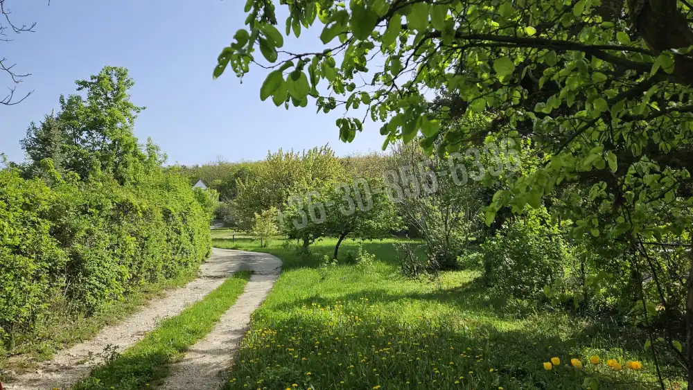 Pest megye - Budakeszi